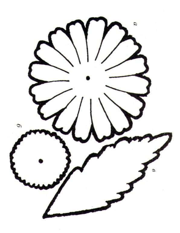 Листок ромашки