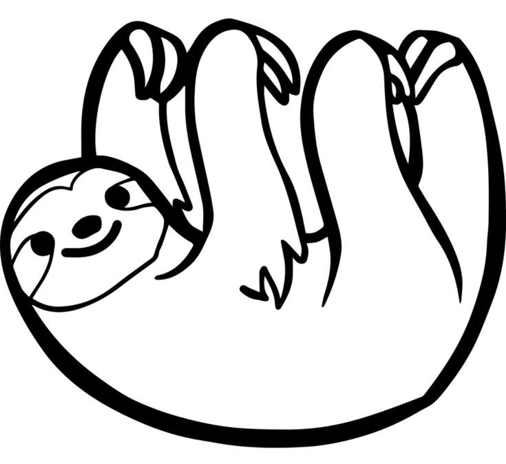 Ленивец раскраска