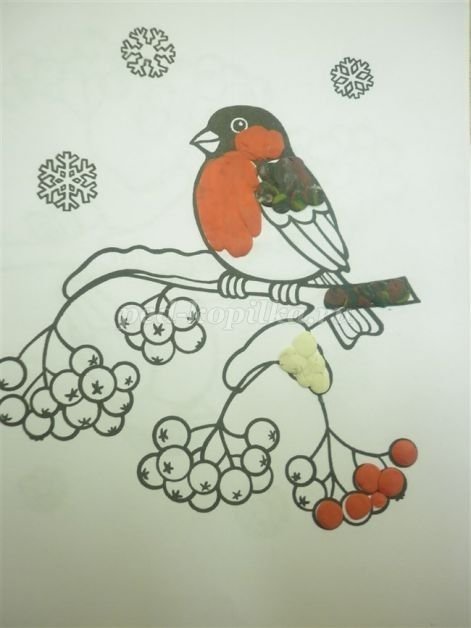 Снегири на ветке для детей средней группы