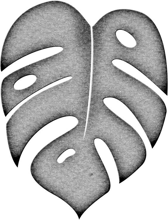 Лист монстеры трафарет для вырезания
