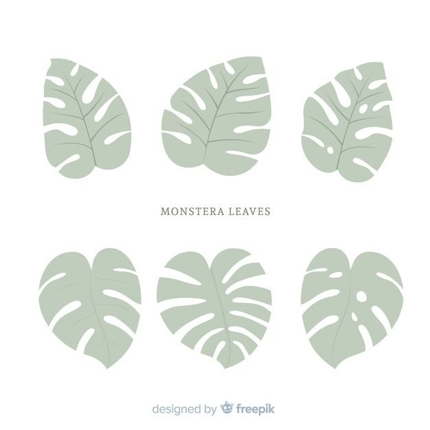 Шаблоны листьев монстеры