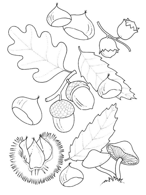 Раскраска осень для малышей