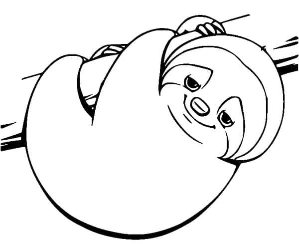 Картинки для раскрашивания Ленивец