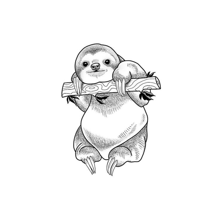 Ленивец черно белый