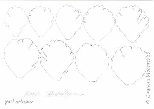 Трафарет лепестков