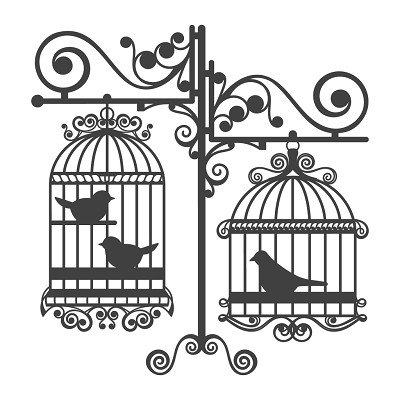 Птица в клетке