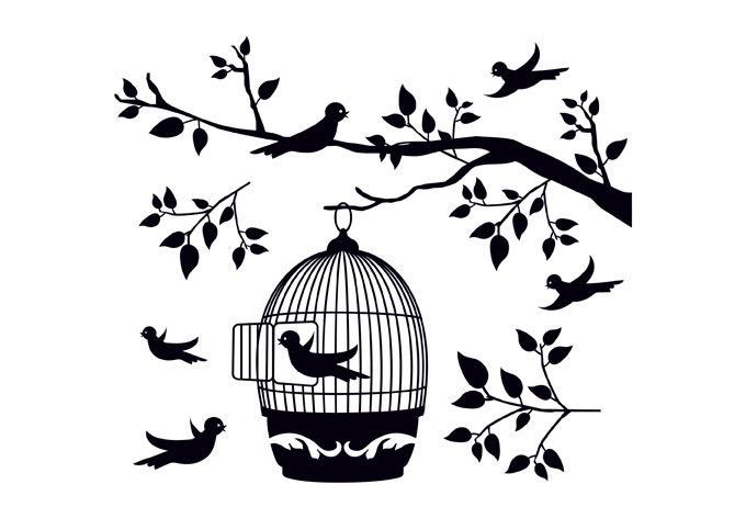 Узоры с птичками