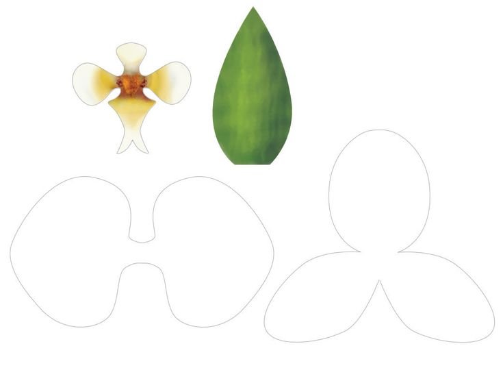 Трафарет орхидеи из фоамирана