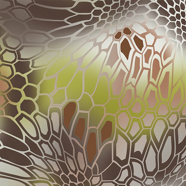 Kryptek трафарет