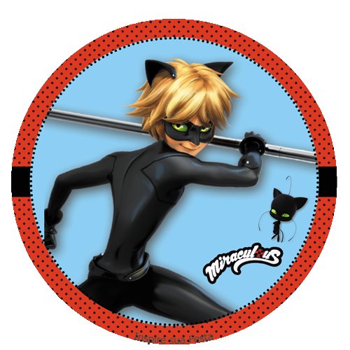 Супер кот круглые