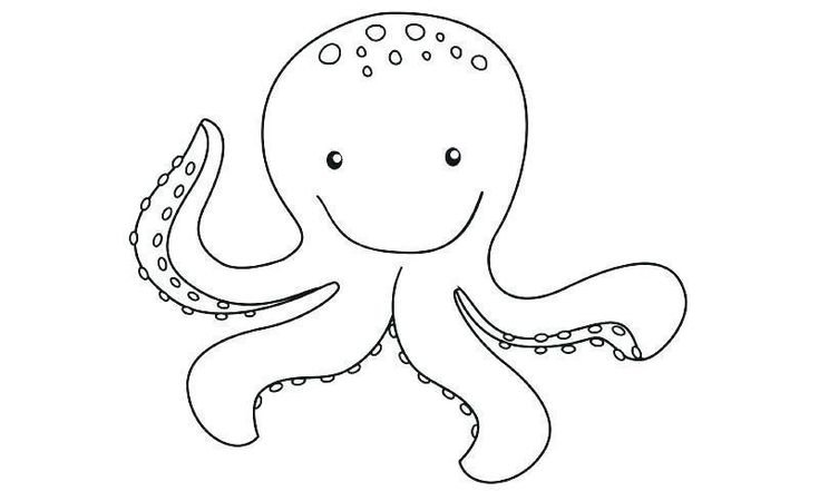 Осьминожка раскраска для детей