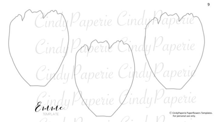 Лепестки пиона шаблон