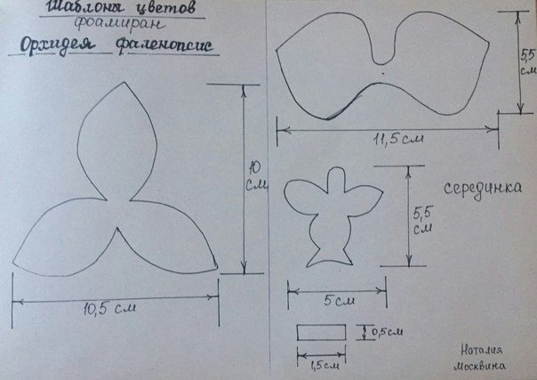 Выкройка орхидеи фаленопсис
