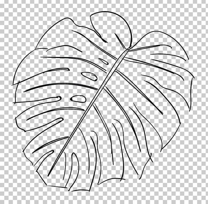 Monstera Leaf контур