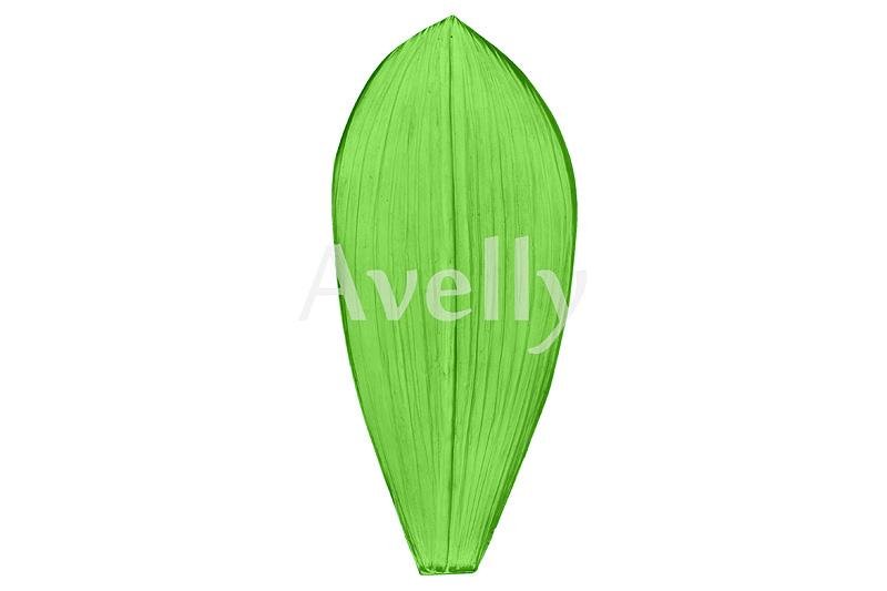 Лист орхидеи шаблон