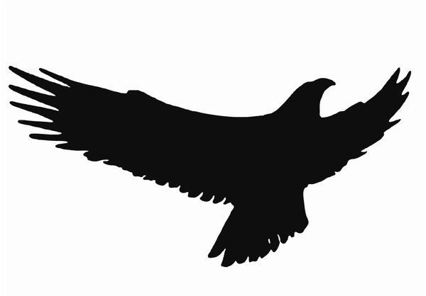 Силуэт орла