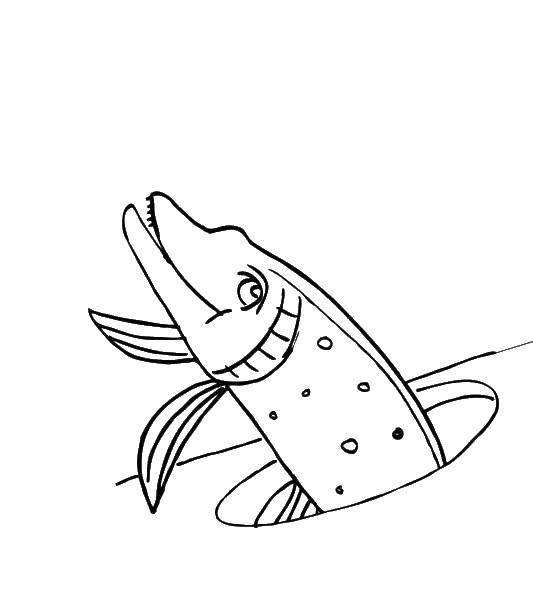 Щука Сказочная раскраска для детей