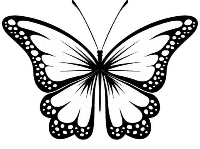 Трафареты бабочки