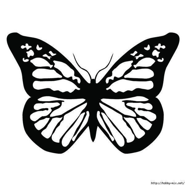 Трафареты бабочки