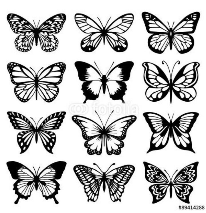 Трафарет бабочки для вырезания