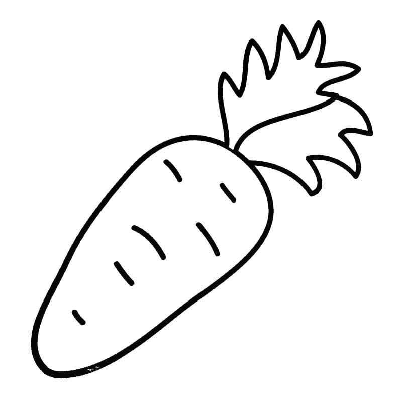 Морковь раскраска