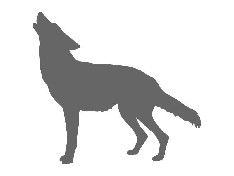 Волк трафарет для детей