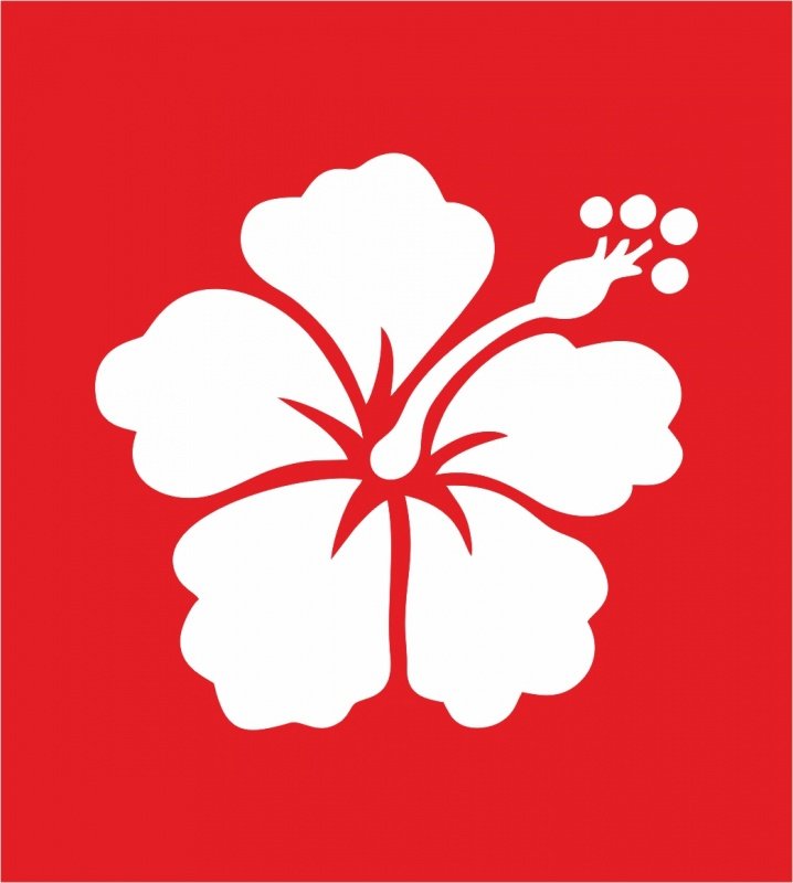 Трафареты для декора цветы крупные