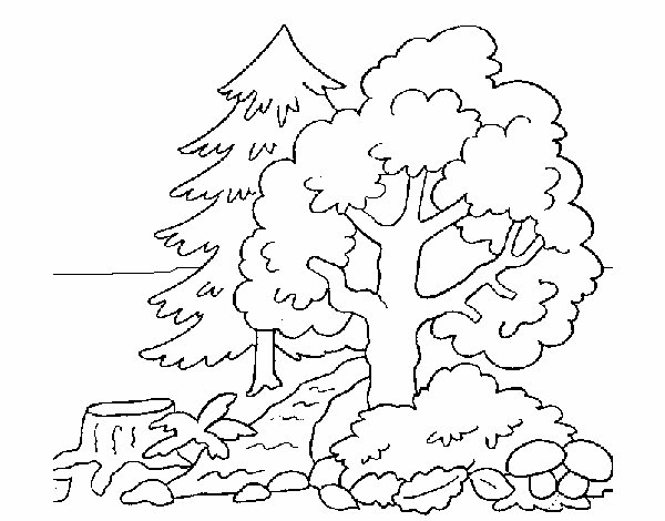 Дерево раскраска для детей