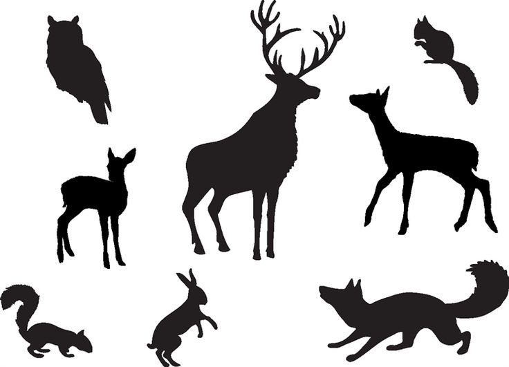 Силуэты лесных зверей