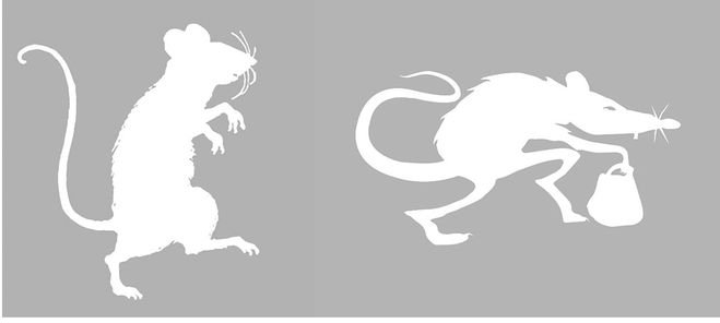 Мышь верезалка