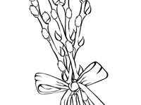 Верба раскраска для детей