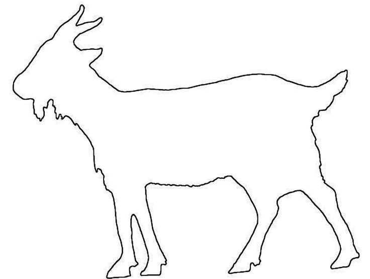 Контуры животных для аппликации