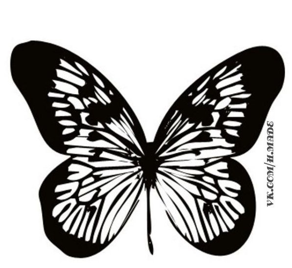 Силуэт бабочки