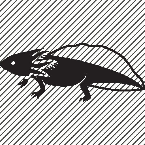 Аксолотль на флаге