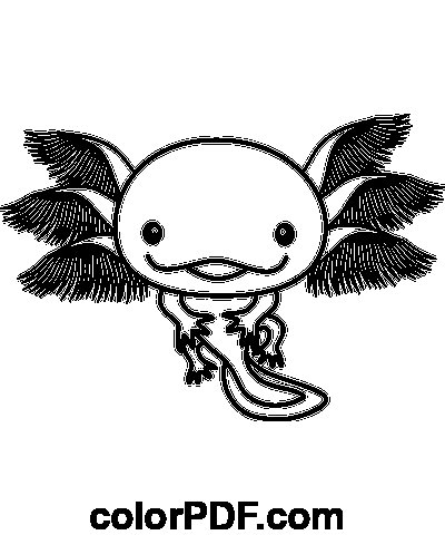 Аксолотль рисунок легкий