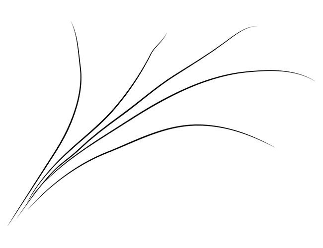 Ветка вербы для детей трафарет