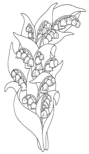 Цветы. Раскраска