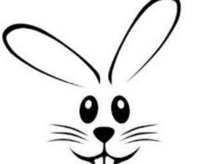 Мордочка зайчика