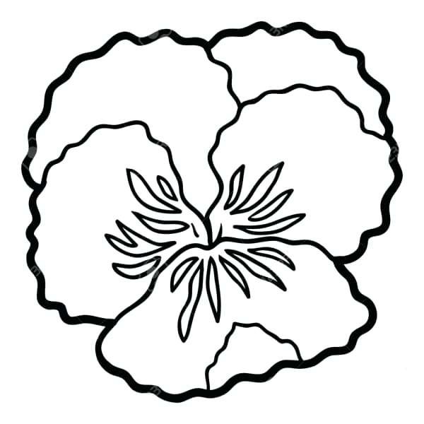 Фиалка трафарет