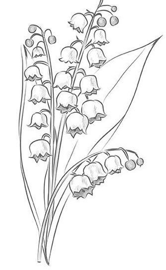 Весенние цветы раскраска для детей