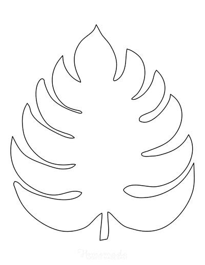 Тропические листья трафарет