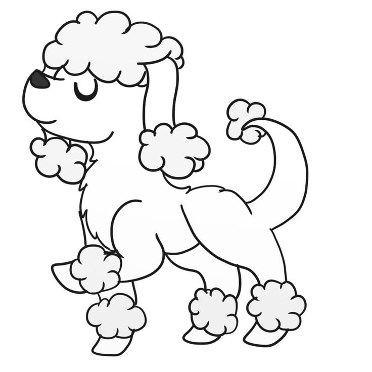 Пудель раскраска для детей