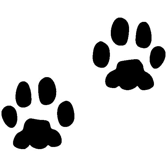 Отпечаток лапы кролика