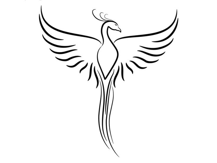 Легкий эскиз Феникса