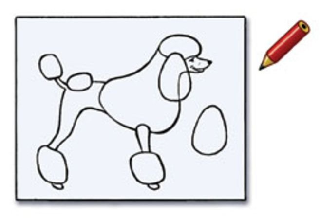 Пудель трафарет для аппликации