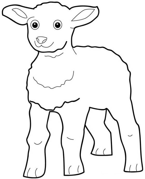 Раскраска козлика для детей