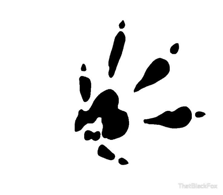 Лапка эскиз