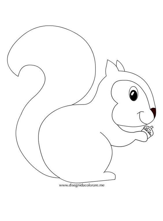 Белка раскраска для детей