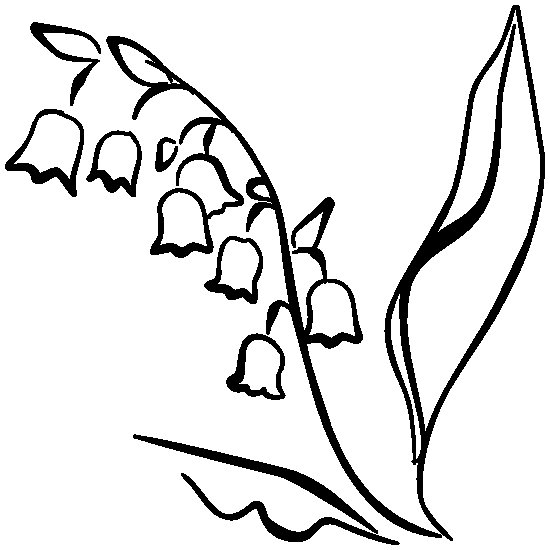 Ландыш контур