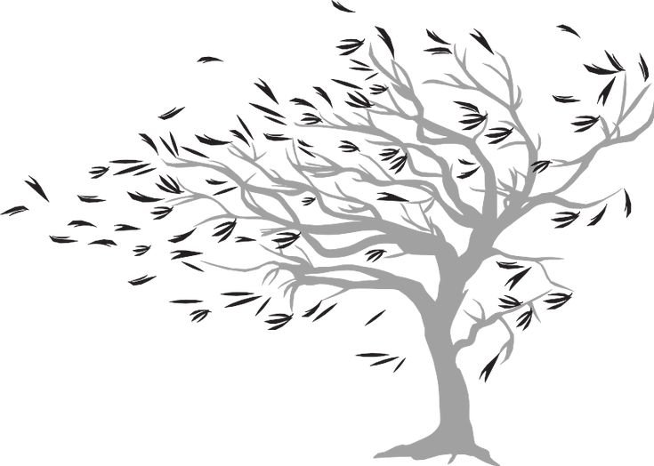 Силуэт дерева без листьев